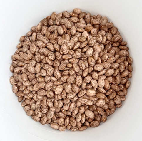 Dried pinto beans