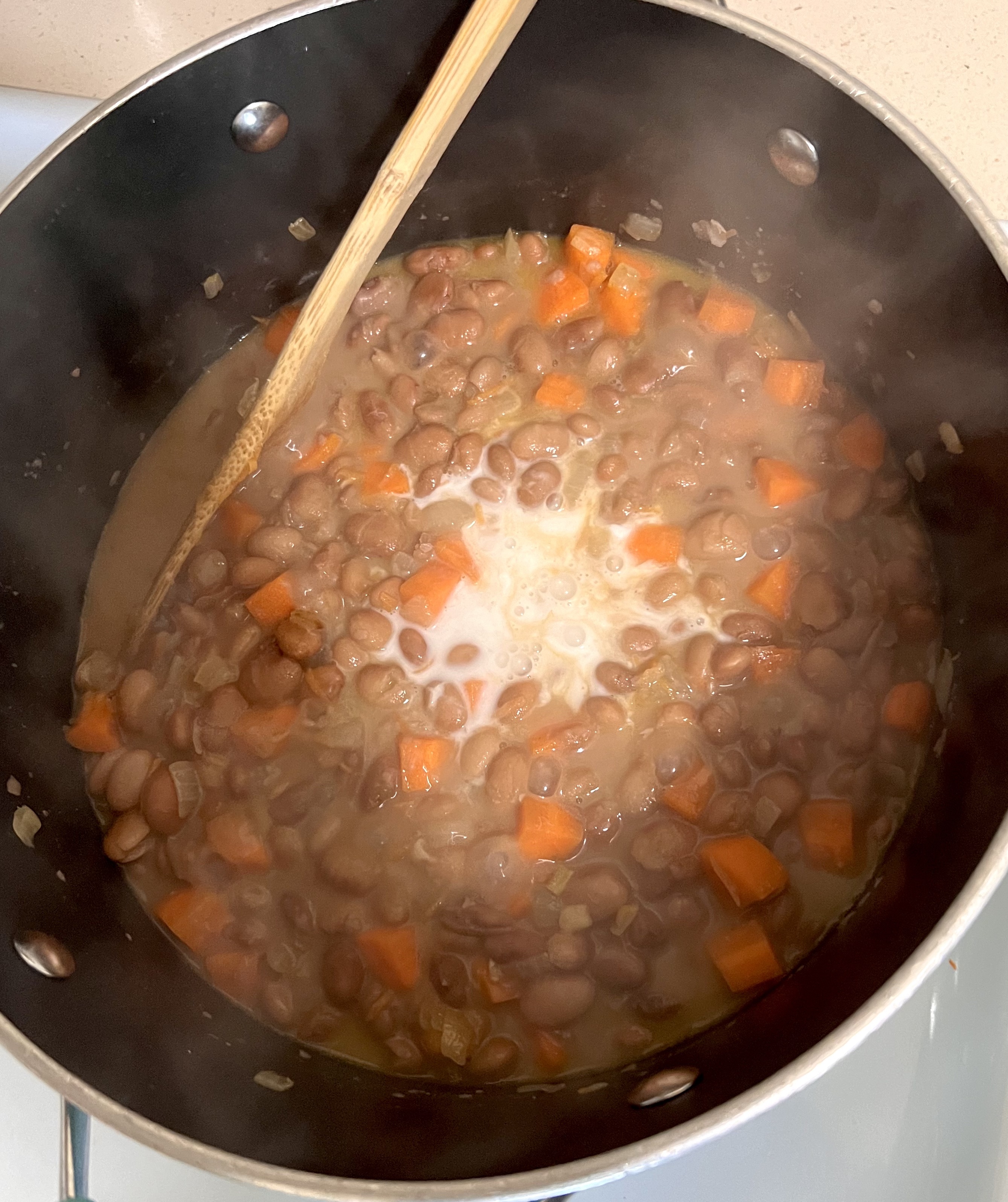 Pinto beans with seasonings