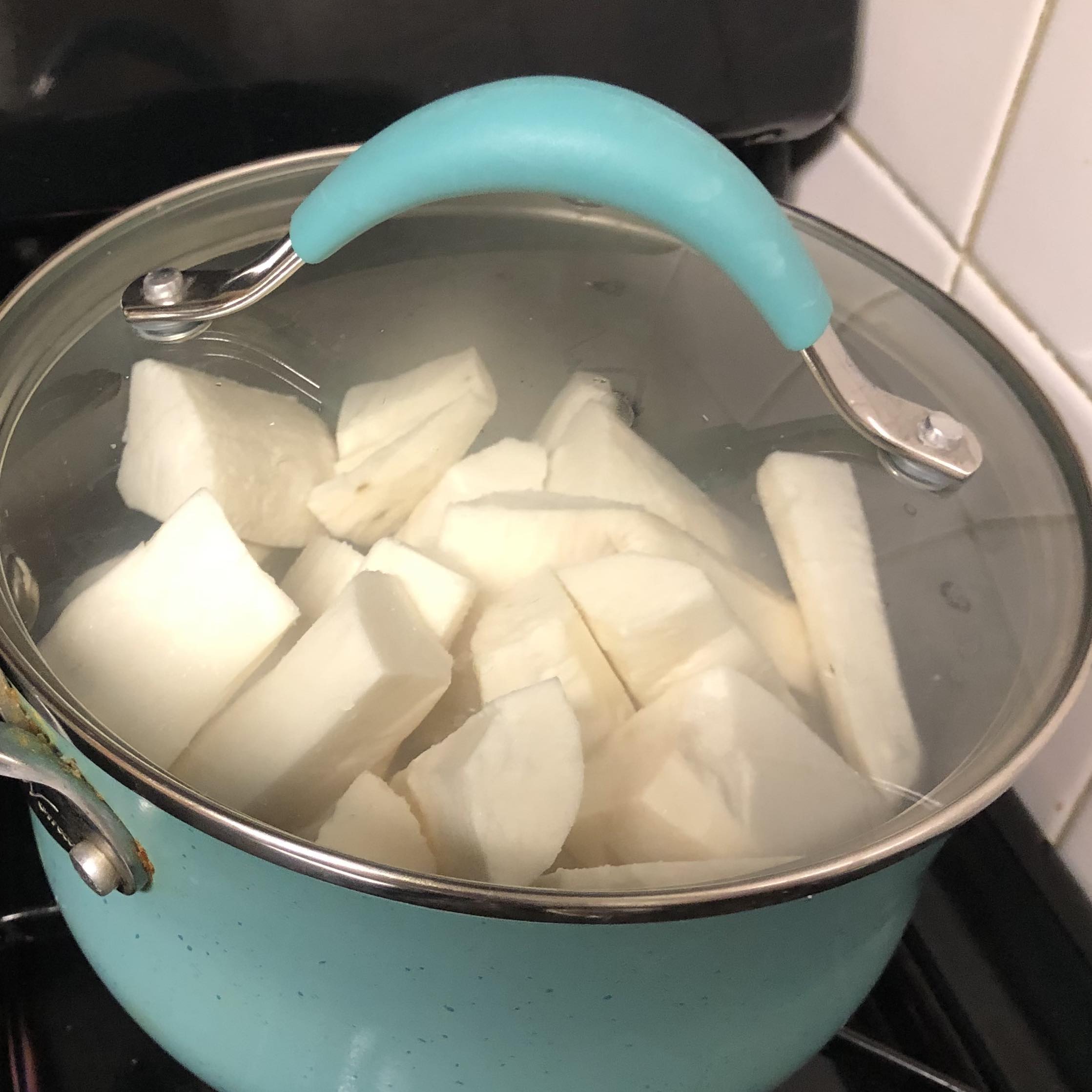 Cassava in a pot